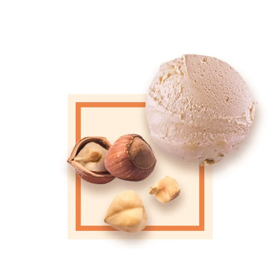 Noisette